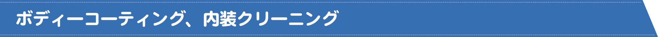 ボディーコーティング、内装クリーニング